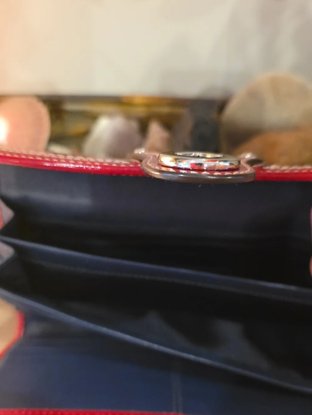 Coach Poppy Gigi Buckle WALLET